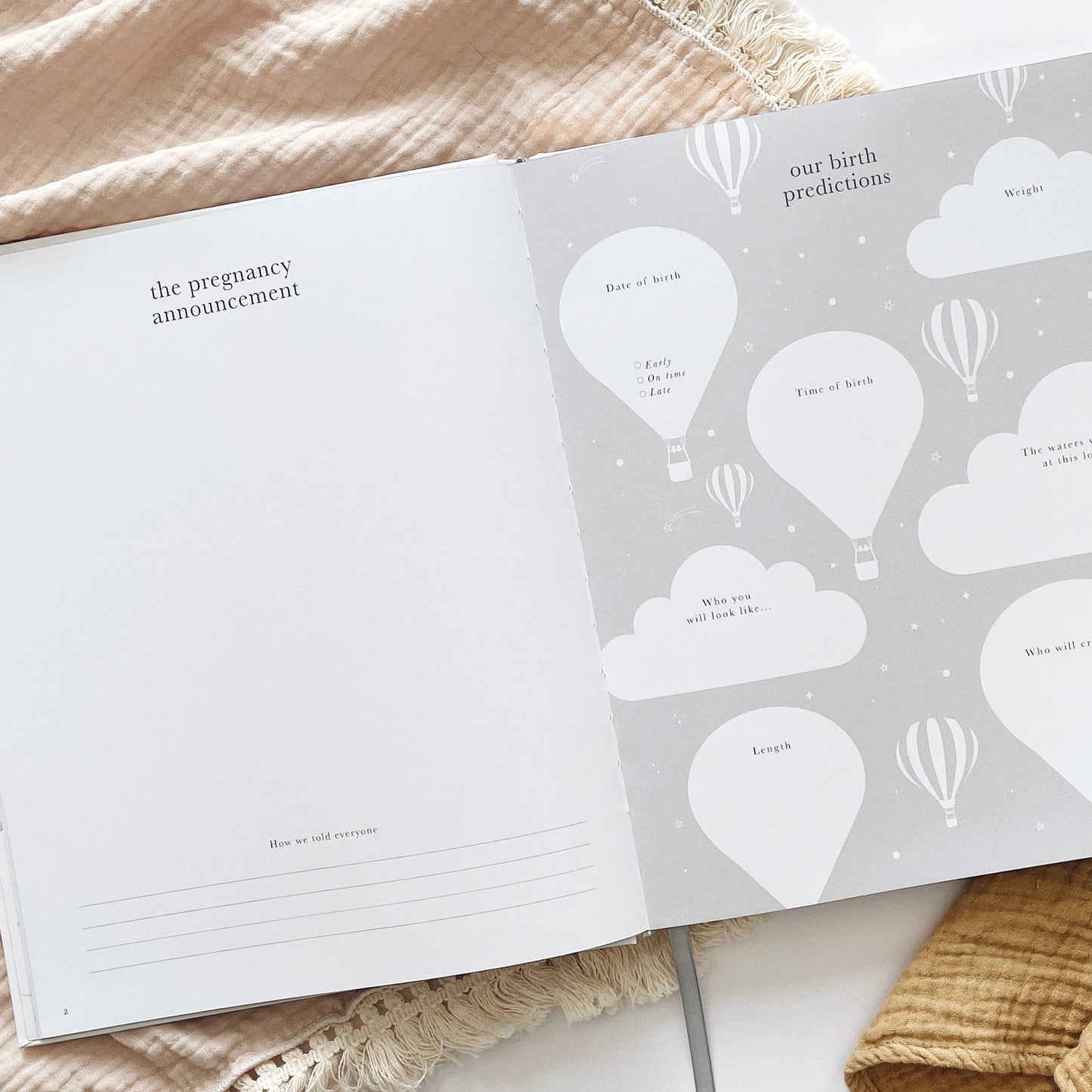 Pregnancy Journal