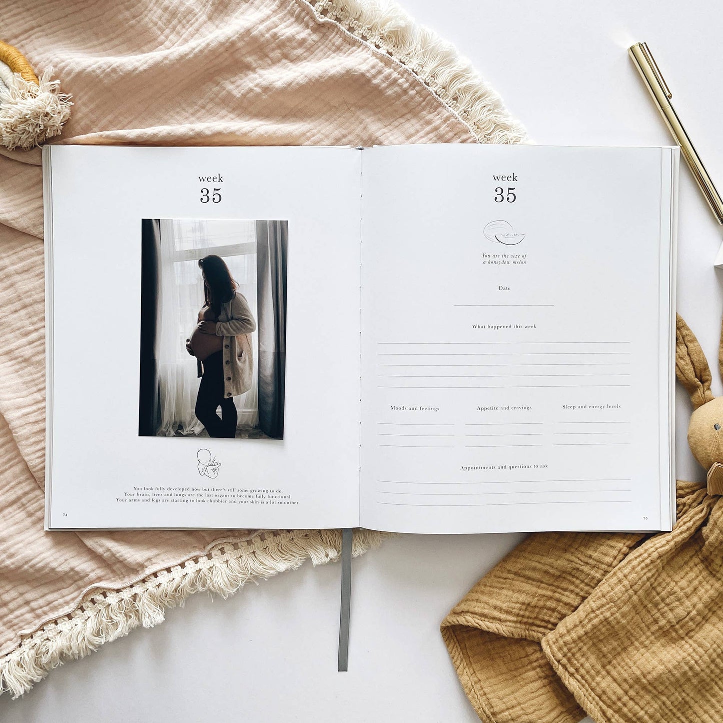 Pregnancy Journal